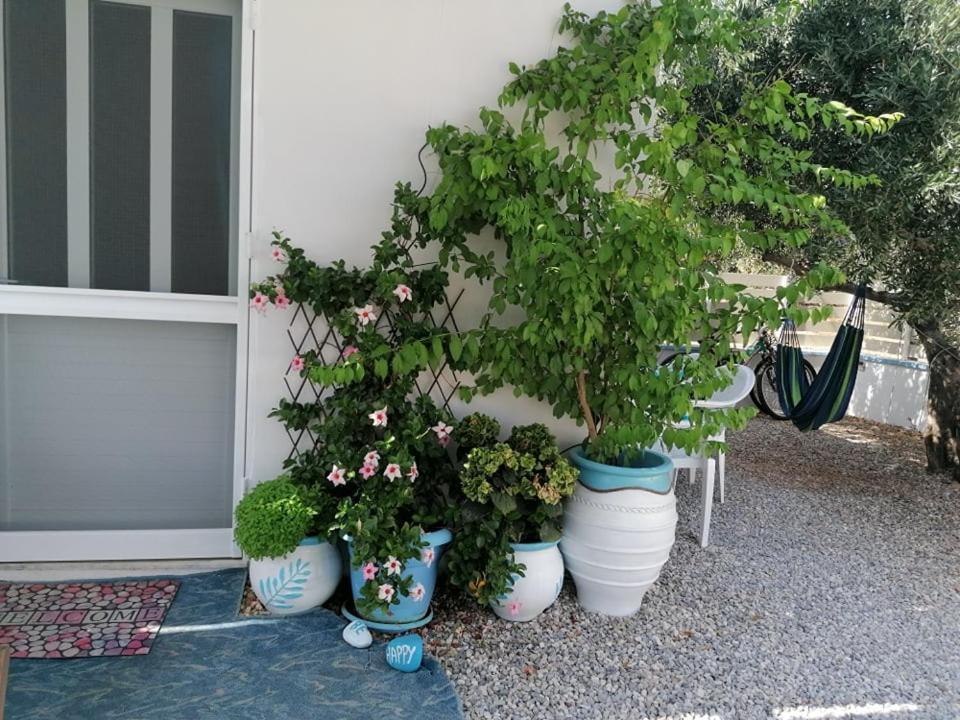 فيلا Casa D'Armaros كيساموس المظهر الخارجي الصورة