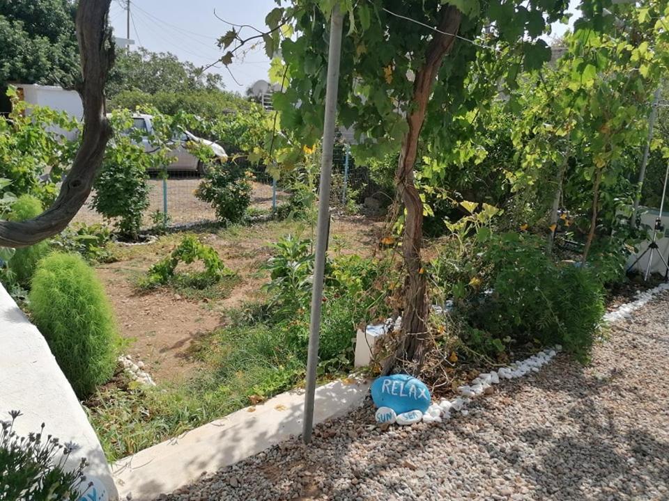 فيلا Casa D'Armaros كيساموس المظهر الخارجي الصورة